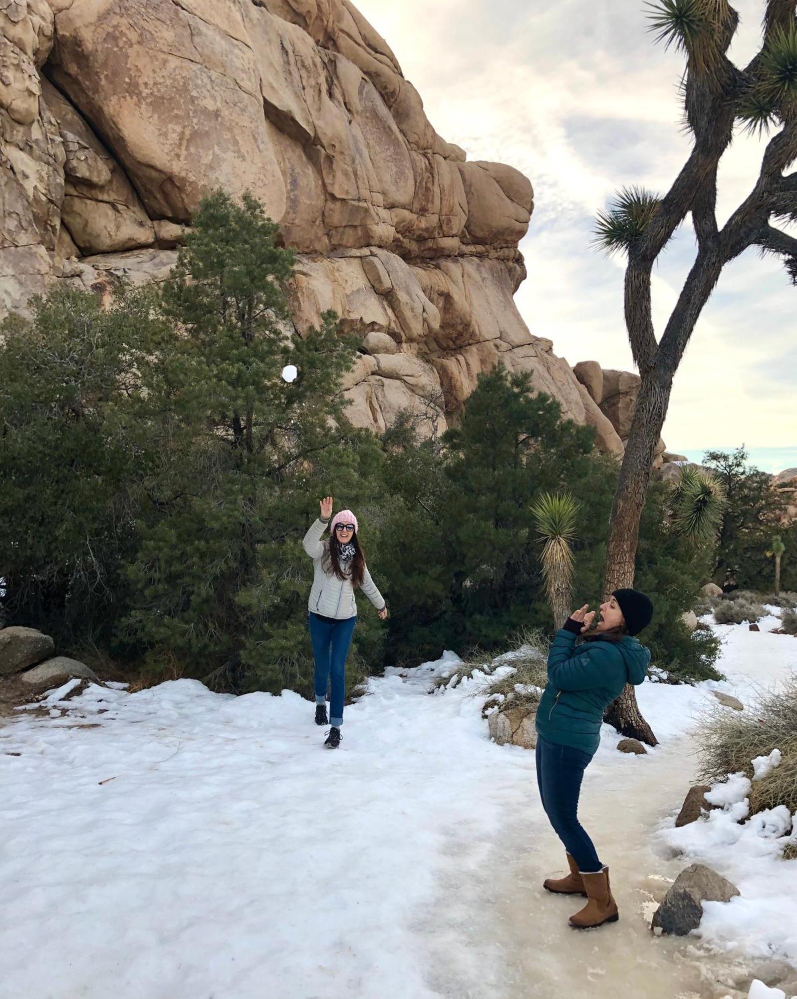Cozy Desert Retreat With Amazing Views Only 4 Miles To Jtnp 조슈아 트리 외부 사진